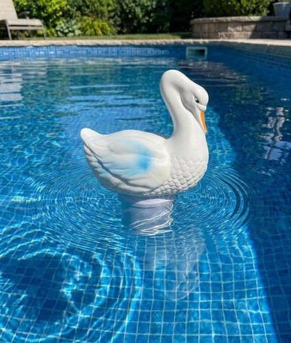 Dosierschwimmer schwan für - schwan,
