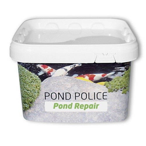 Pond repair koi - koi, teich